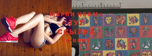 прущие крисы Алзамай