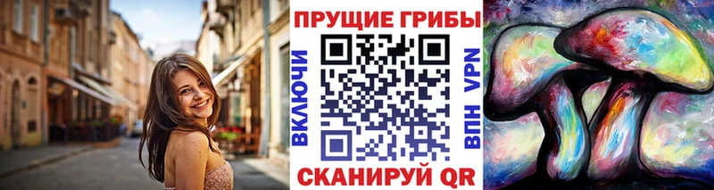 мориарти клад  Дудинка  Галлюциногенные грибы MAGIC MUSHROOMS 